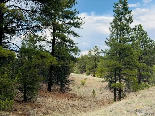5539 Cody Park Road Cotopaxi, CO 81223