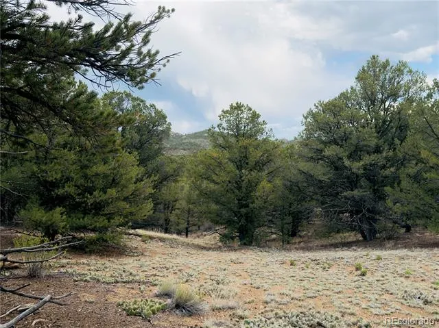 5539 Cody Park Road Cotopaxi, CO 81223