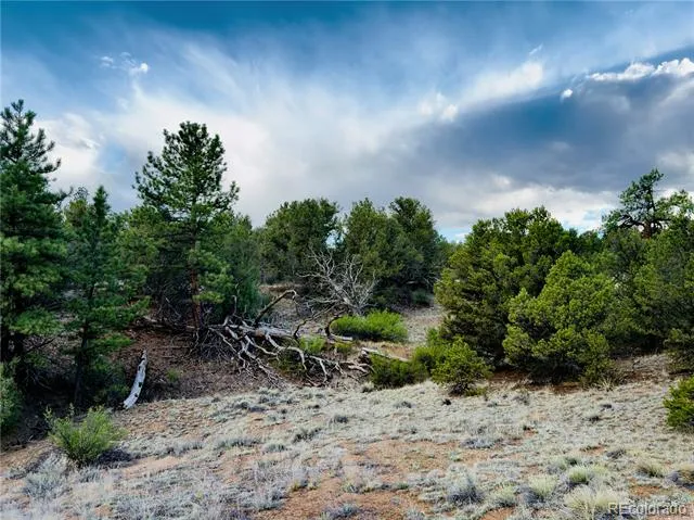 5539 Cody Park Road Cotopaxi, CO 81223