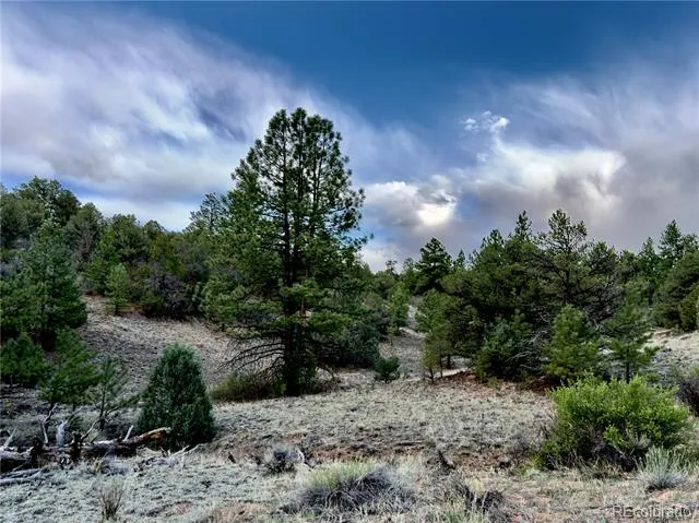 5539 Cody Park Road Cotopaxi, CO 81223