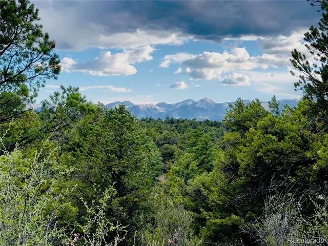 5539 Cody Park Road Cotopaxi, CO 81223