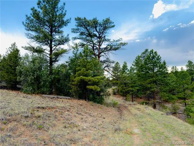 5539 Cody Park Road Cotopaxi, CO 81223