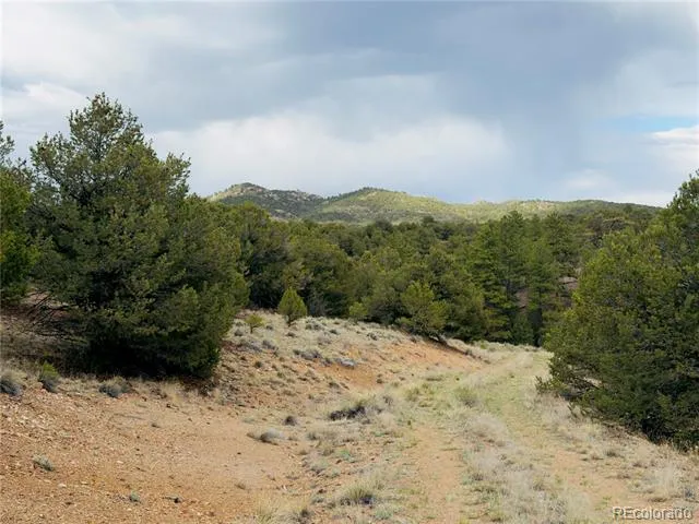 5539 Cody Park Road Cotopaxi, CO 81223
