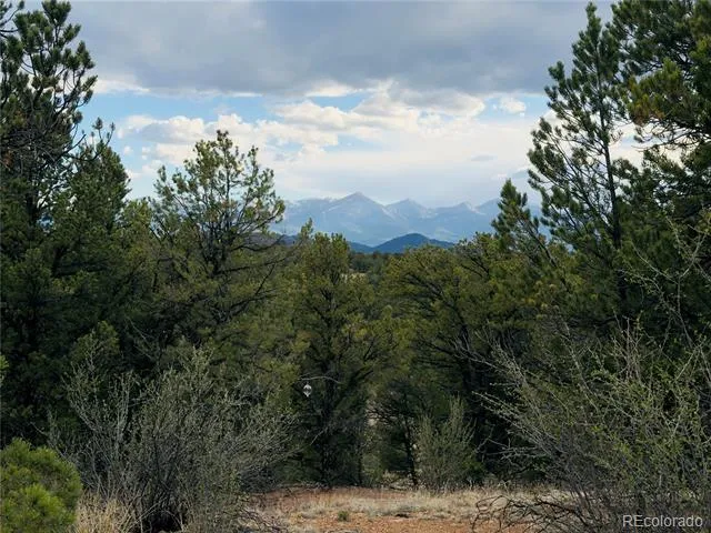 5539 Cody Park Road Cotopaxi, CO 81223