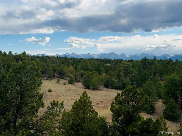 5539 Cody Park Road Cotopaxi, CO 81223
