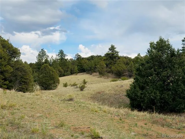 5539 Cody Park Road Cotopaxi, CO 81223