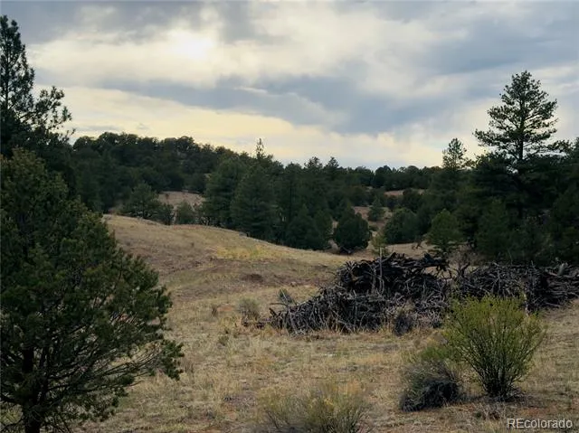 5539 Cody Park Road Cotopaxi, CO 81223
