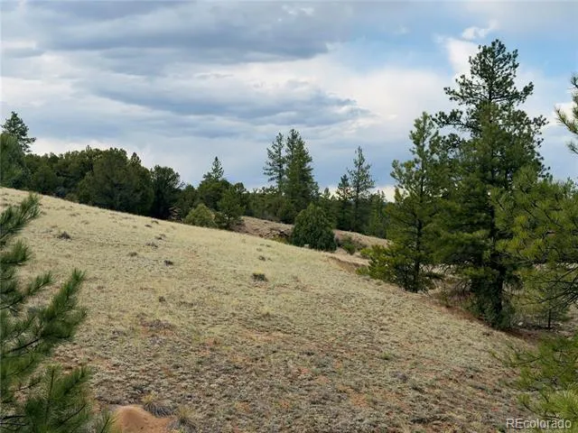 5539 Cody Park Road Cotopaxi, CO 81223
