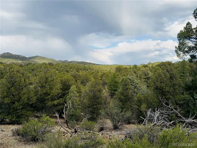 5539 Cody Park Road Cotopaxi, CO 81223
