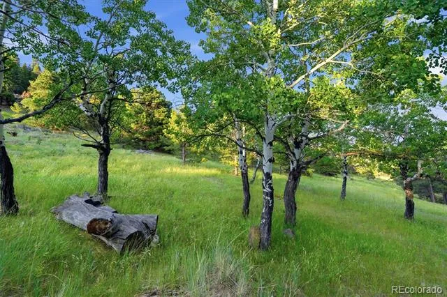 34317 State Highway 103 Evergreen, CO 80439
