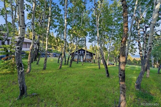 34317 State Highway 103 Evergreen, CO 80439