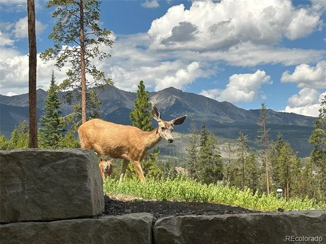 135 Hamilton Court Breckenridge, CO 80424