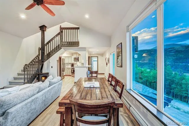 1095 Quartzville Road Alma, CO 80440