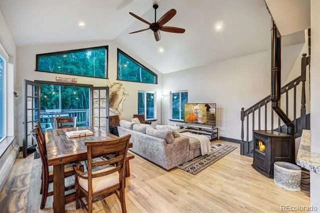1095 Quartzville Road Alma, CO 80440