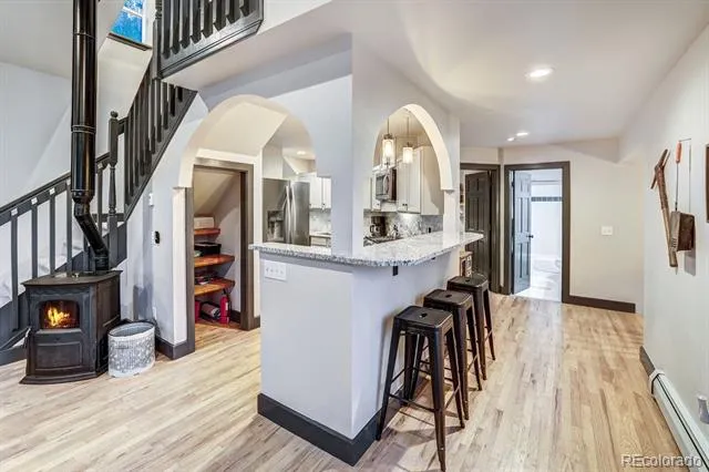 1095 Quartzville Road Alma, CO 80440