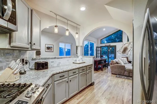 1095 Quartzville Road Alma, CO 80440