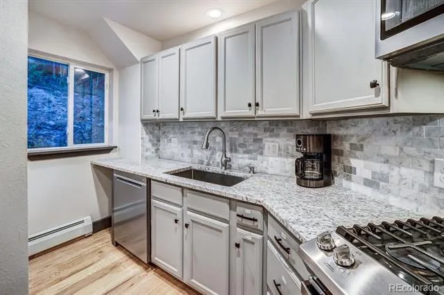 1095 Quartzville Road Alma, CO 80440