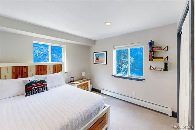 1095 Quartzville Road Alma, CO 80440
