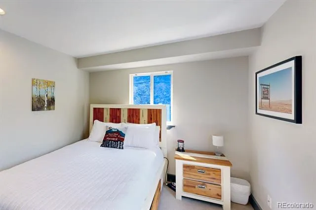1095 Quartzville Road Alma, CO 80440
