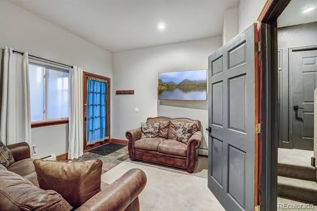 1095 Quartzville Road Alma, CO 80440