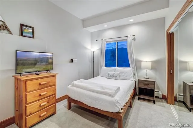 1095 Quartzville Road Alma, CO 80440