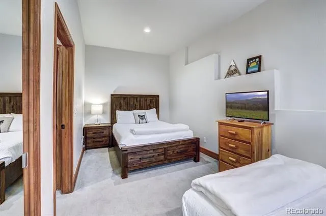 1095 Quartzville Road Alma, CO 80440