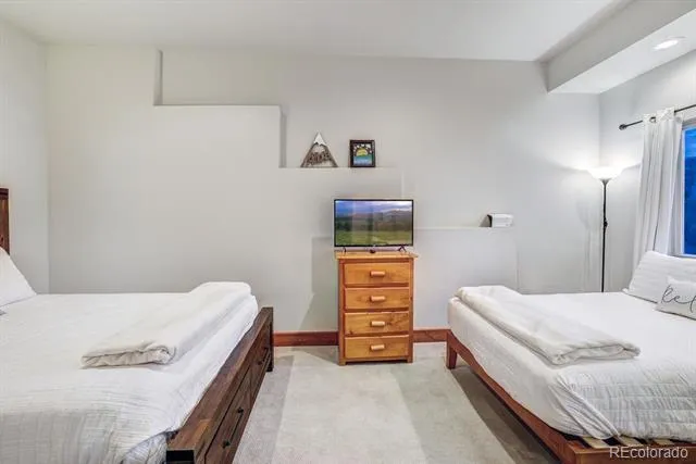 1095 Quartzville Road Alma, CO 80440