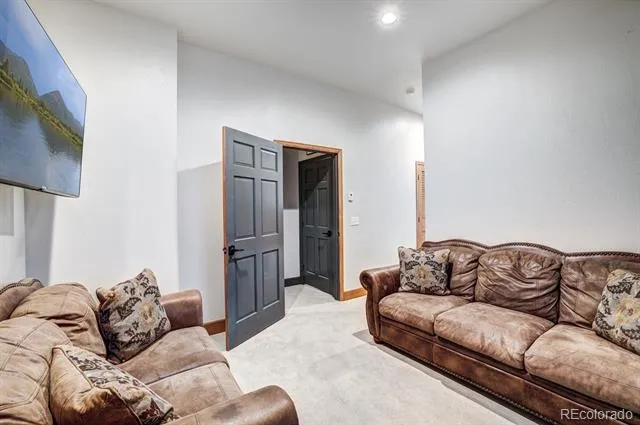 1095 Quartzville Road Alma, CO 80440