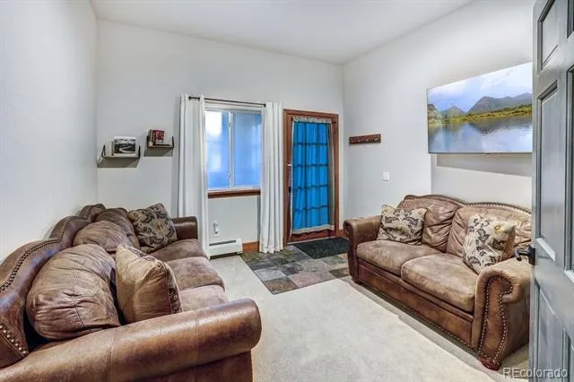 1095 Quartzville Road Alma, CO 80440
