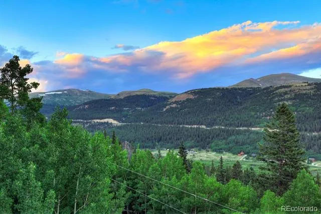 1095 Quartzville Road Alma, CO 80440