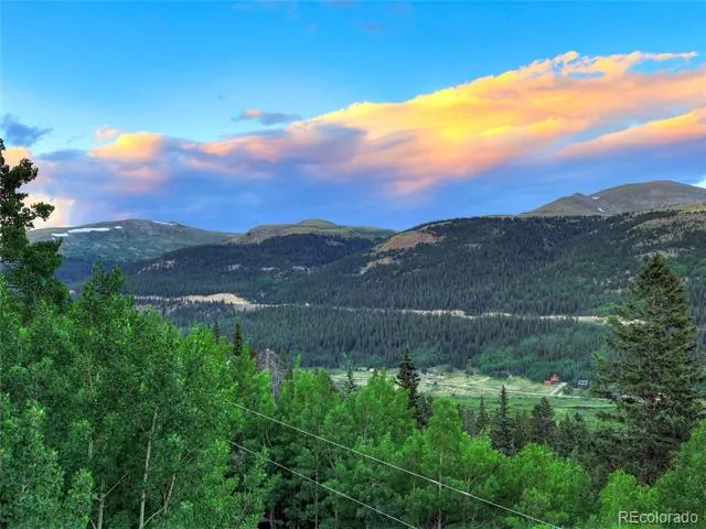 1095 Quartzville Road Alma, CO 80440