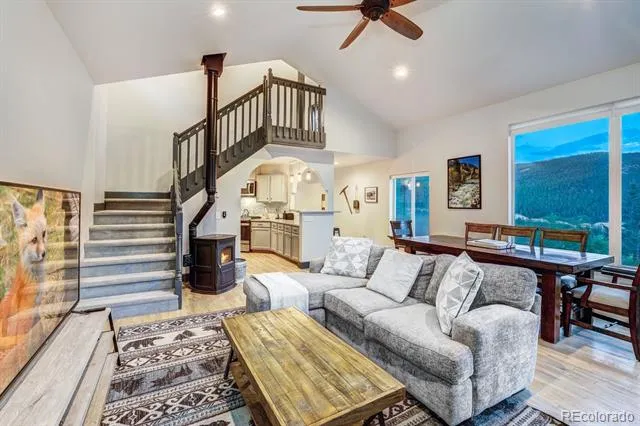 1095 Quartzville Road Alma, CO 80440