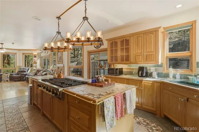 465 Skyline Drive South Fork, CO 81154