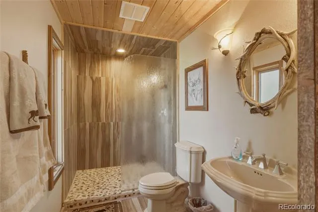 465 Skyline Drive South Fork, CO 81154