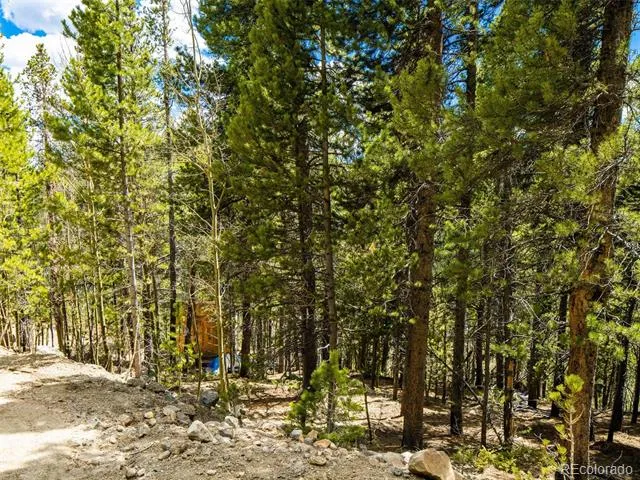 9 Rainbow Road Idaho Springs, CO 80452
