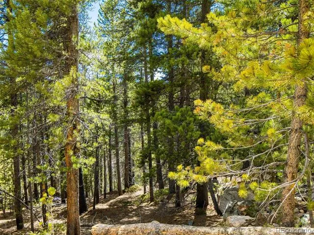 9 Rainbow Road Idaho Springs, CO 80452