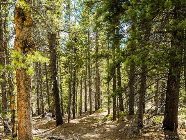 9 Rainbow Road Idaho Springs, CO 80452