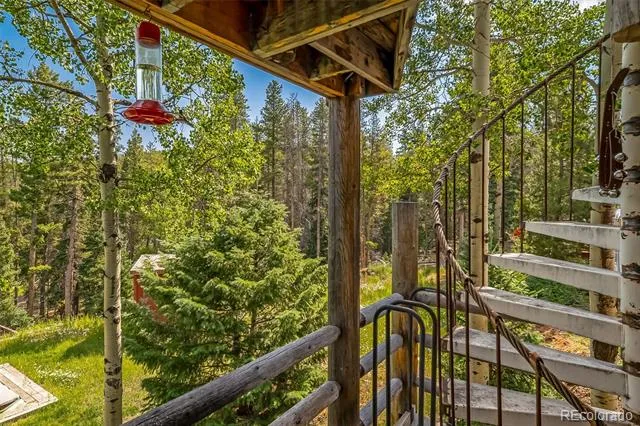 8774 Spring Drive Conifer, CO 80433