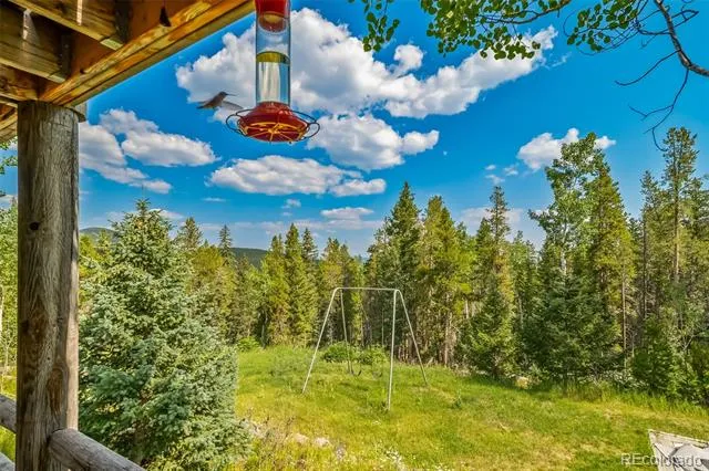 8774 Spring Drive Conifer, CO 80433