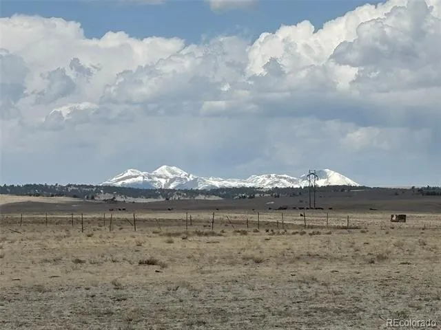 7125 Rio Blanco Road Hartsel, CO 80449