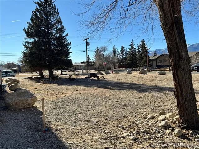 513 Gold Street Buena Vista, CO 81211