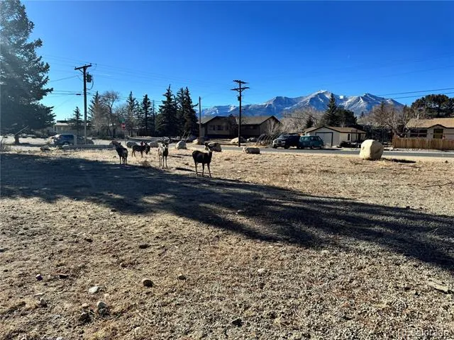 513 Gold Street Buena Vista, CO 81211