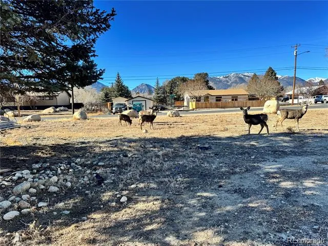 513 Gold Street Buena Vista, CO 81211