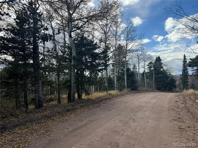 2663 Petito Drive Fort Garland, CO 81133