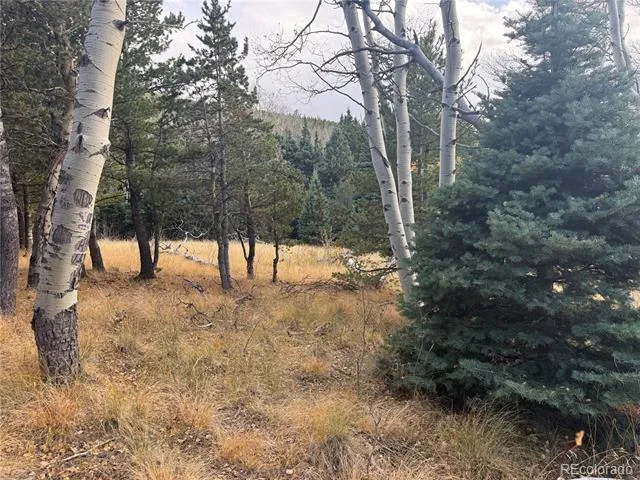2663 Petito Drive Fort Garland, CO 81133