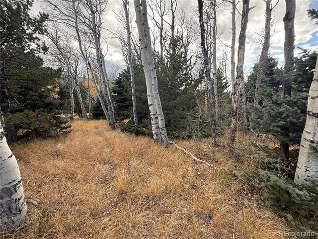 2663 Petito Drive Fort Garland, CO 81133