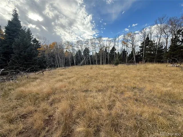 2663 Petito Drive Fort Garland, CO 81133