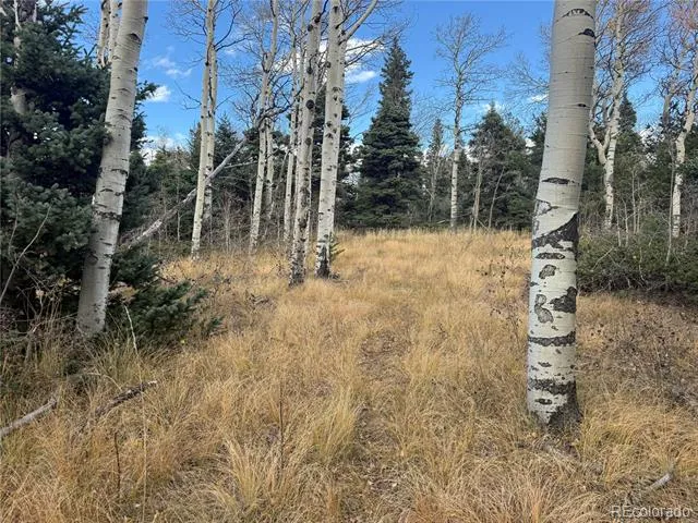 2663 Petito Drive Fort Garland, CO 81133