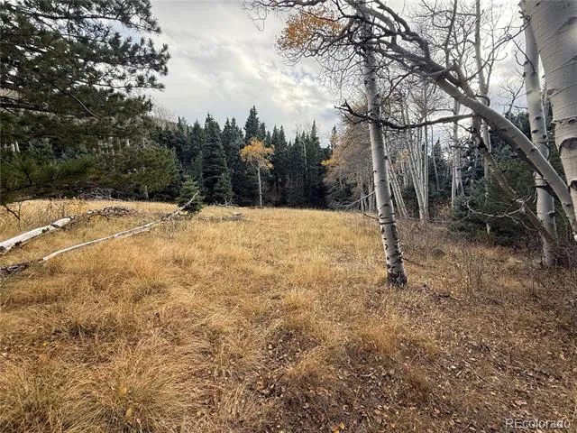 2663 Petito Drive Fort Garland, CO 81133