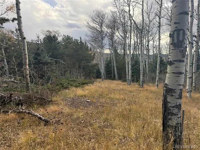 2663 Petito Drive Fort Garland, CO 81133